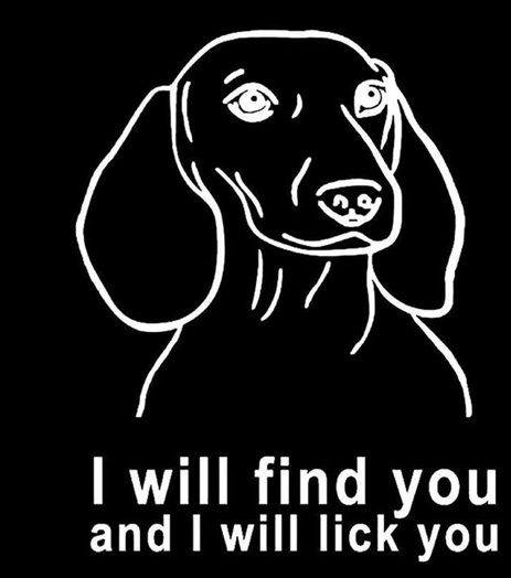 dachshund lick.jpg