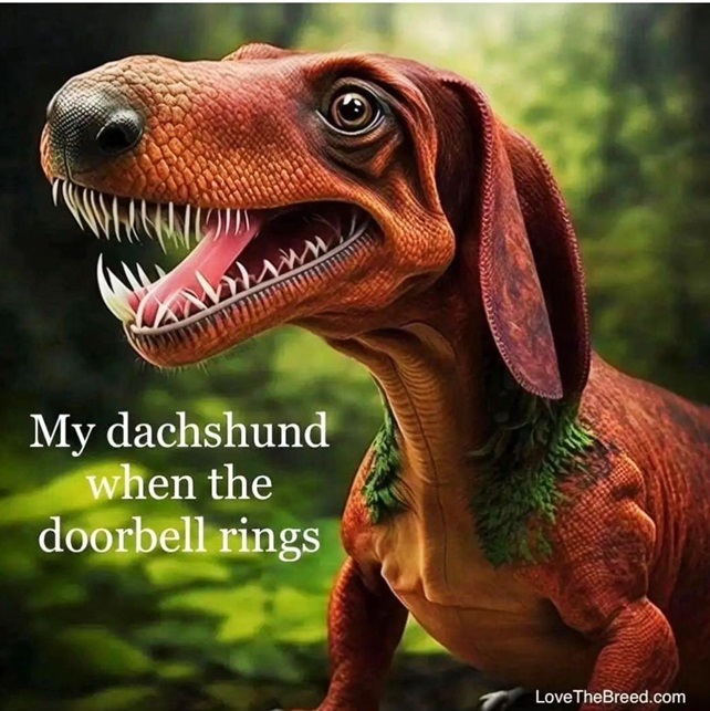 dachshund ring.jpg