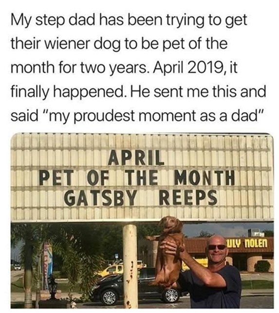 dad dog.jpg