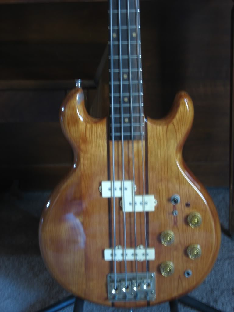 DAgostinoBass2010007.jpg