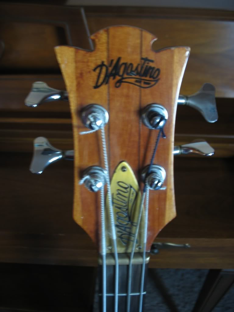 DAgostinoBass2010009.jpg