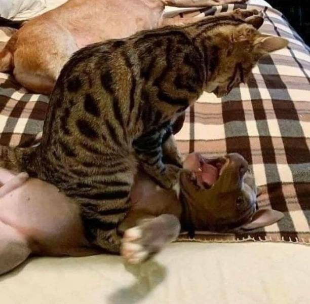daily_picdump_3594_640_70.jpg