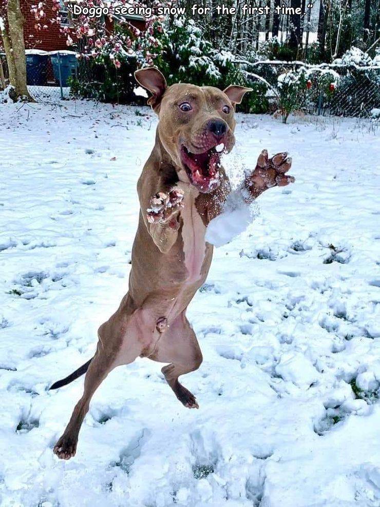 daily_picdump_3654_640_high_26.jpg