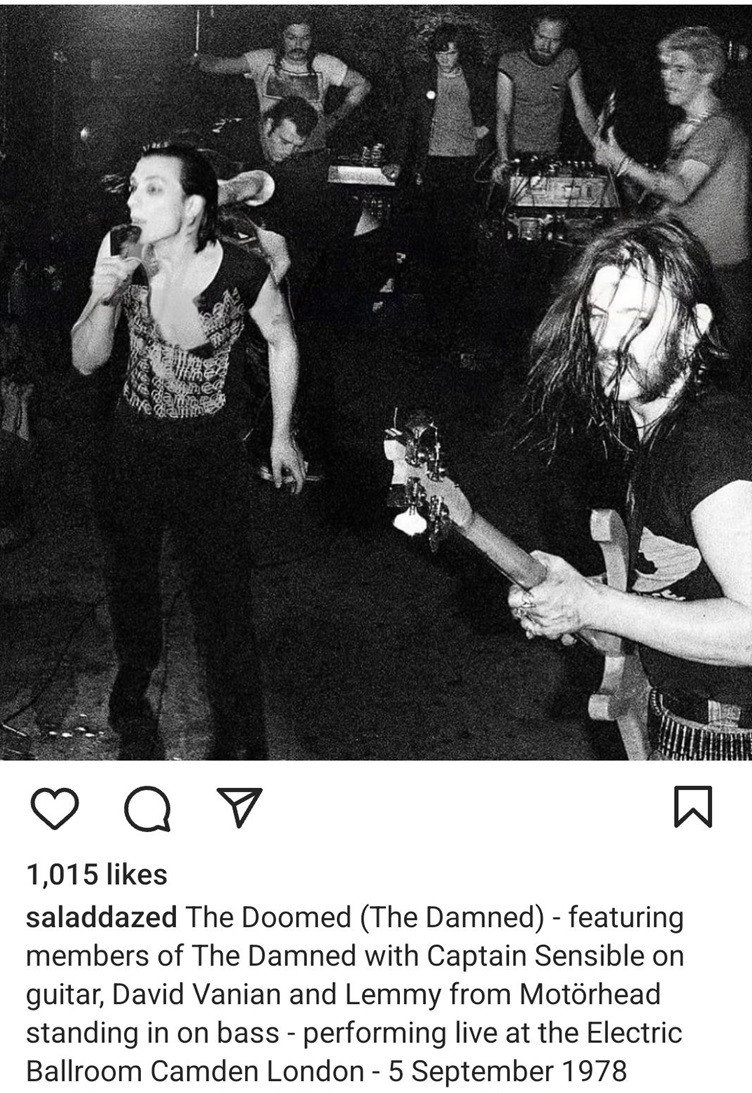 damned lemmy.jpg