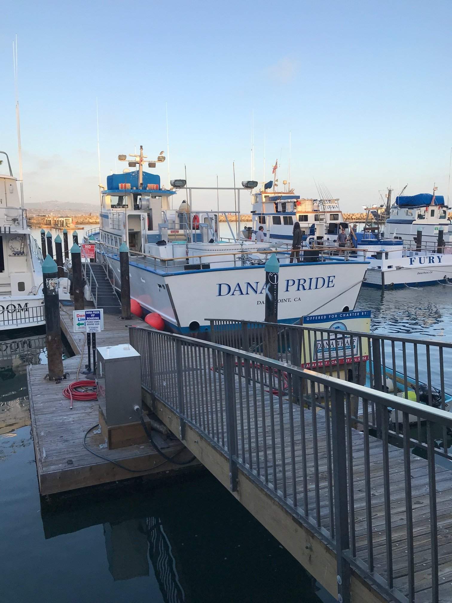 Dana Pride.jpg