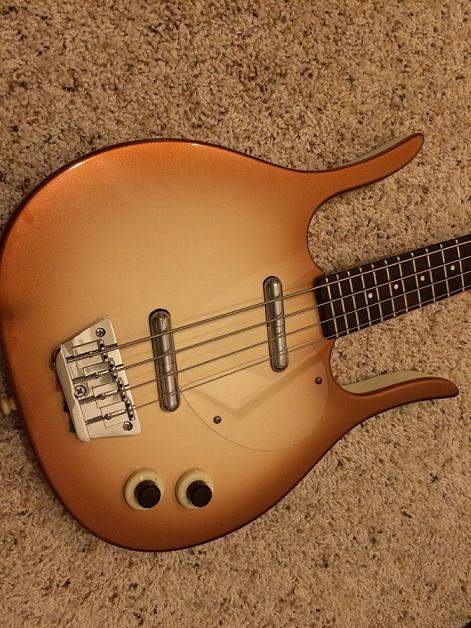 danelectro 1.jpg