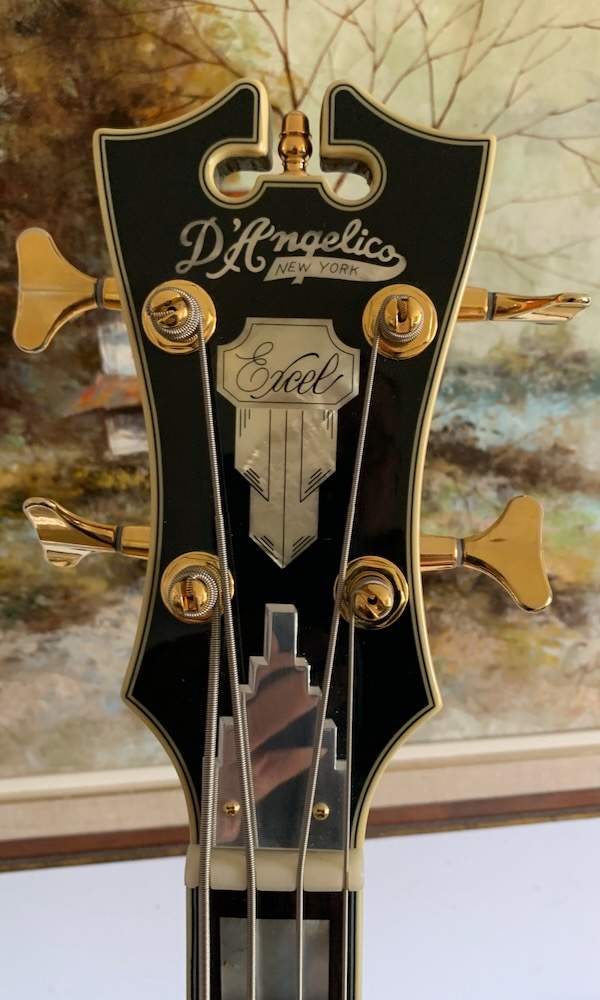D'Angelico closeups - 11.jpeg