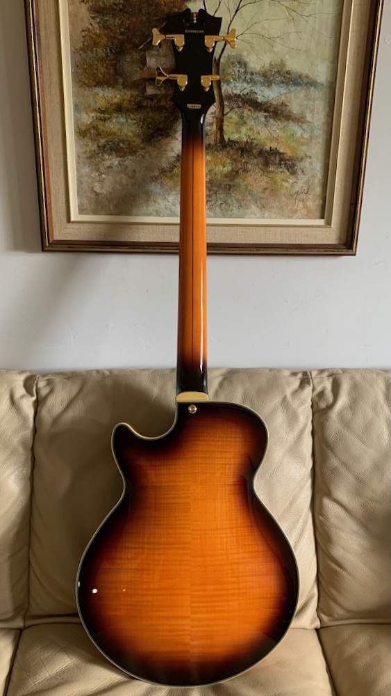 D'Angelico closeups - 15.jpeg