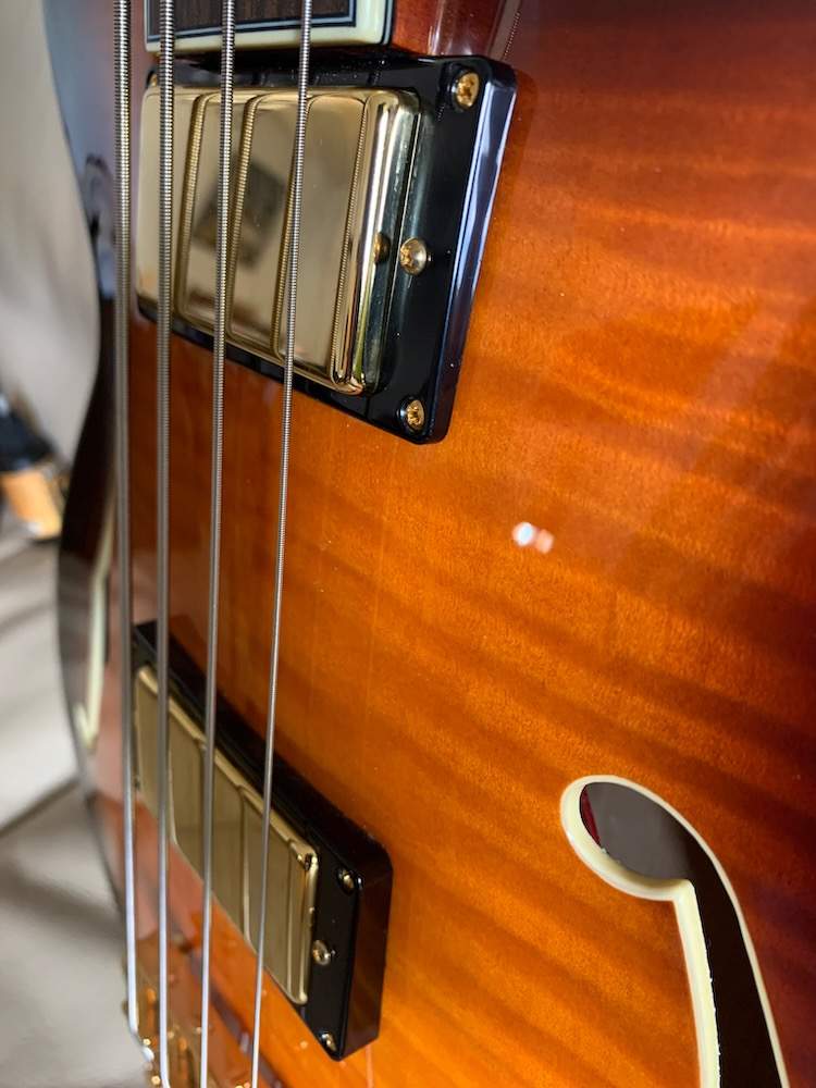 D'Angelico closeups - 18.jpeg