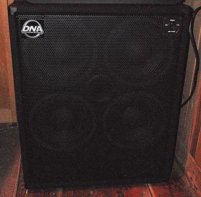 Dans_DNS410-8Ωcab.jpg
