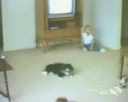 DaQPHEk.gif