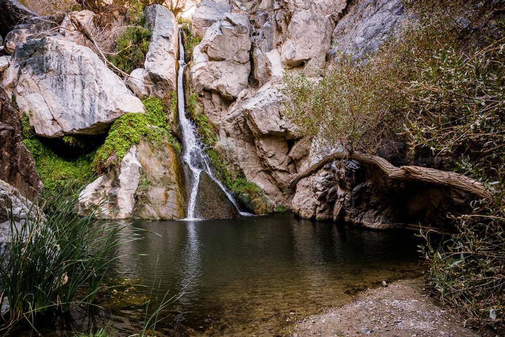 Darwin Falls.jpg