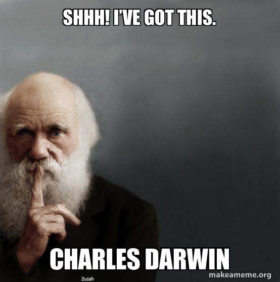 Darwin.jpg