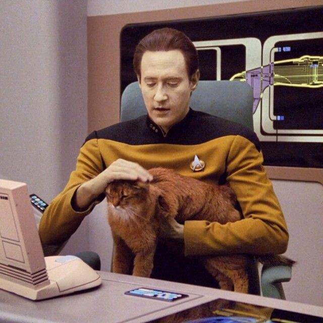Data & Spot.jpg