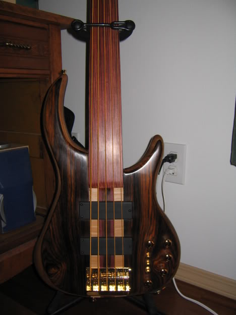 DavePushicFretless004.jpg