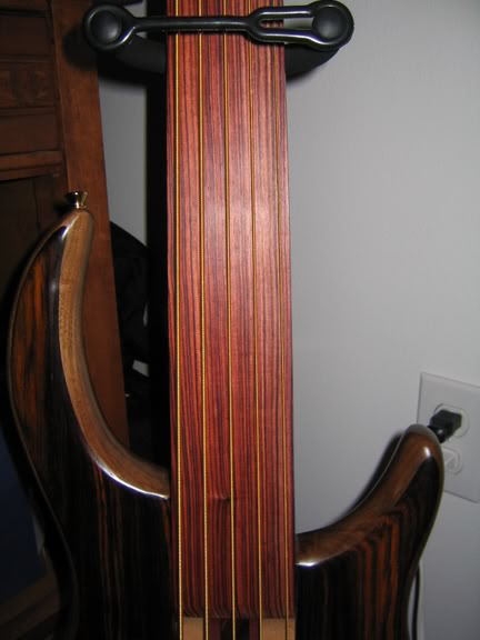 DavePushicFretless010.jpg