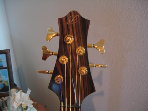DavePushicFretless012.jpg