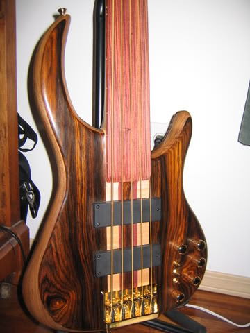 DavePushicFretless015.jpg