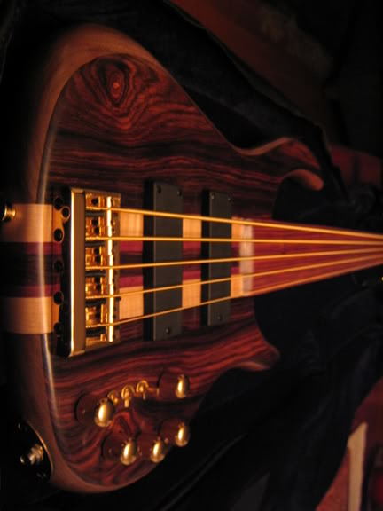 DavePushicFretless016.jpg