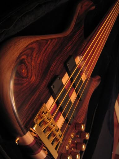 DavePushicFretless017.jpg