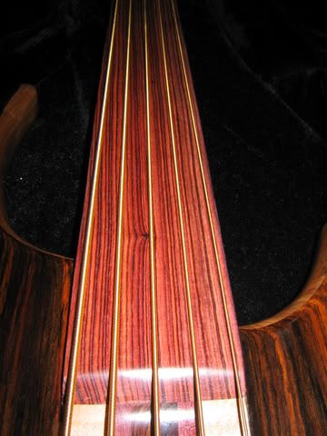 DavePushicFretless018.jpg