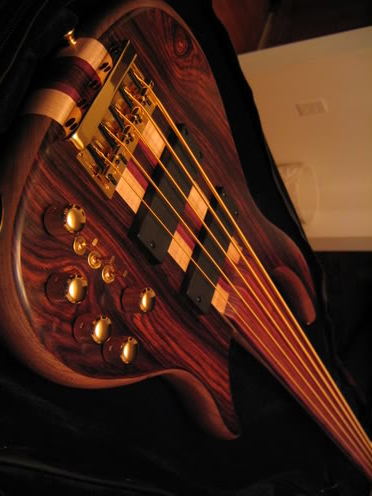 DavePushicFretless019.jpg
