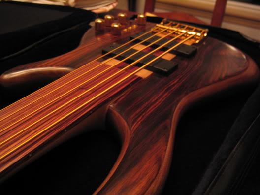 DavePushicFretless021.jpg