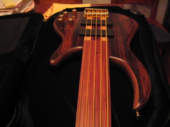 DavePushicFretless022.jpg
