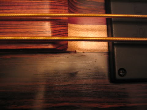 DavePushicFretlessproblems003.jpg