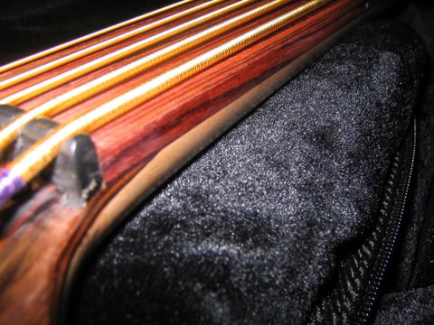 DavePushicFretlessproblems005.jpg