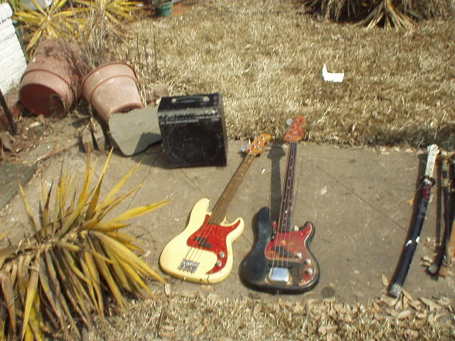 DavidsBasses.jpg