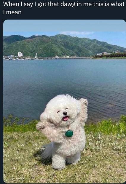 dawg in me.jpg