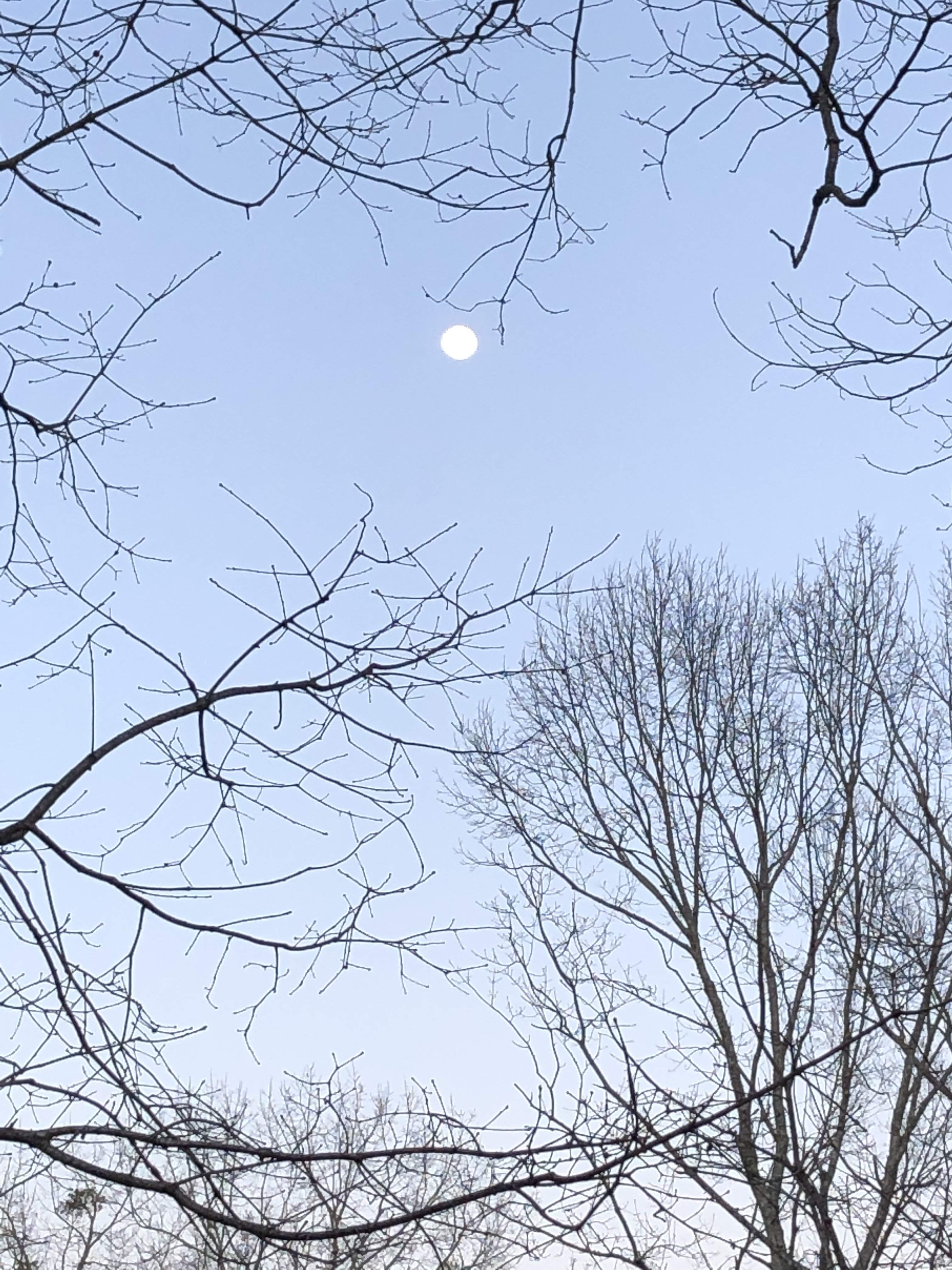 DB23377E-5B61-4798-BB93-F05707EC895B.jpeg