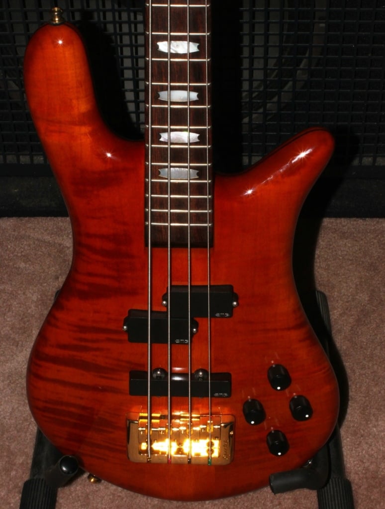 DBS1-Copy-1.jpg