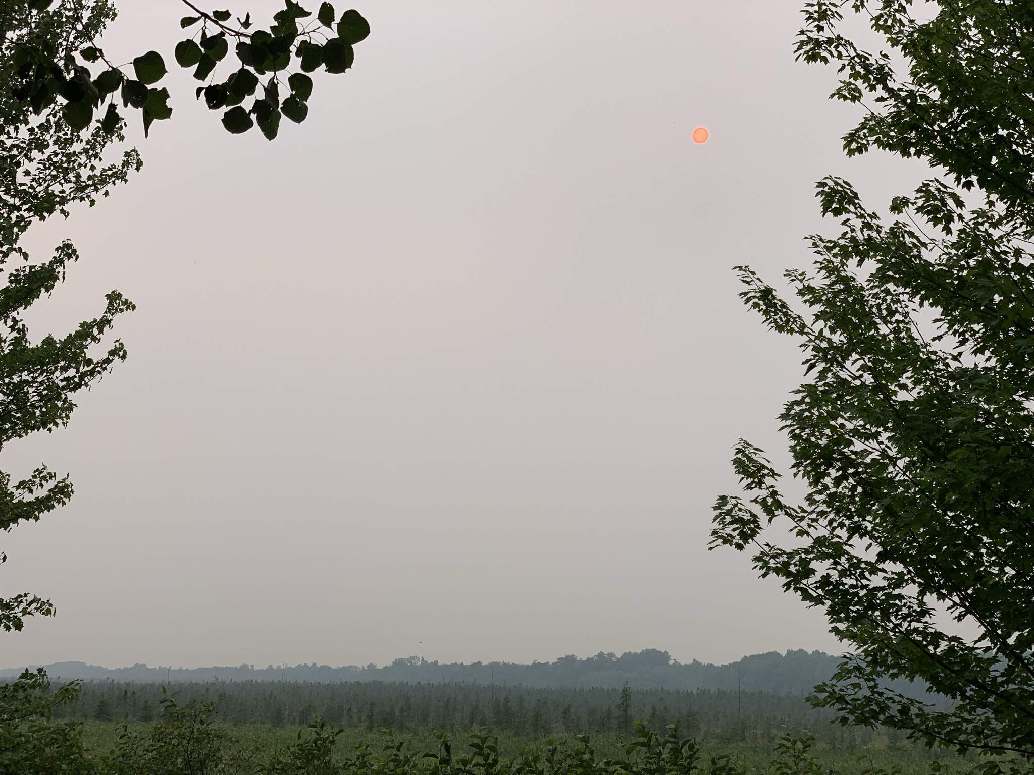 DDED6B13-C79A-42E1-85FA-9C1531637ABD.jpeg