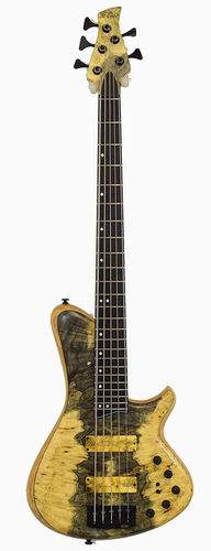 de-gier_elevation5-buckeye_m.jpg
