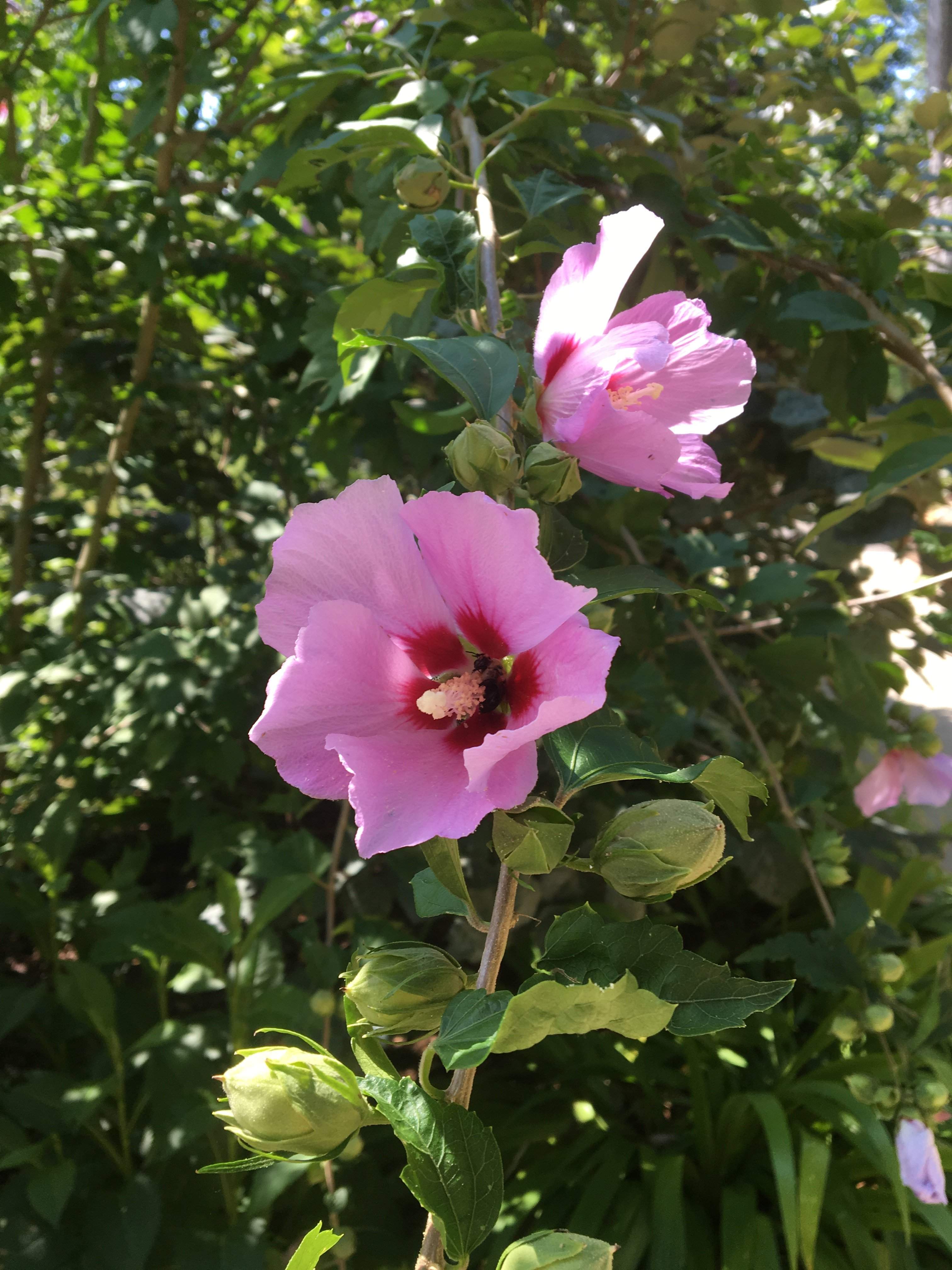 DE877DBA-3A29-4D92-AB12-79C78CC0F12B.jpeg