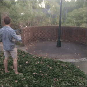 DEA6C9E2-7503-4173-9617-A3F34DCCCE7E.gif