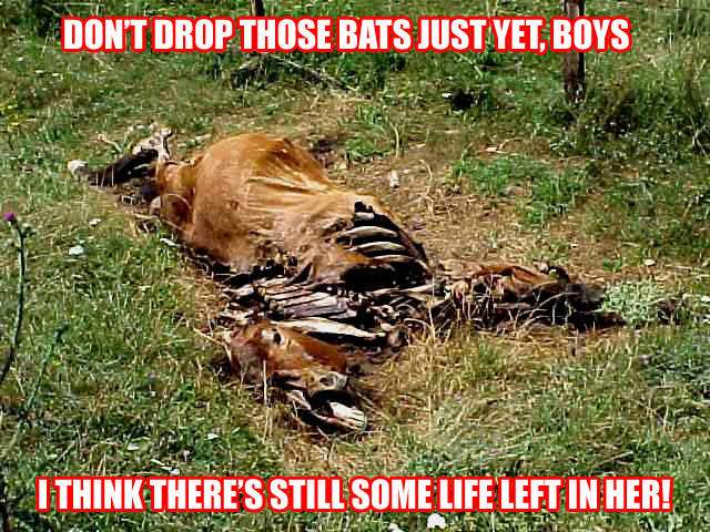Deadhorse.jpg