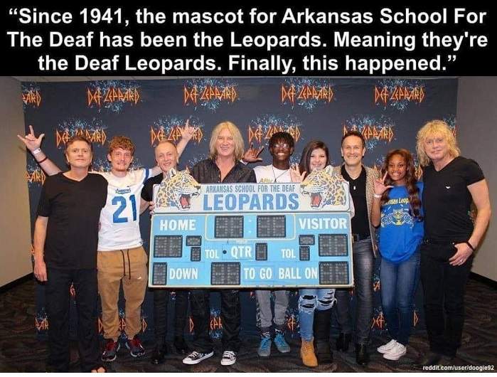 deaf leopards.jpg