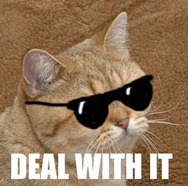 DealWithItStareCat.jpg
