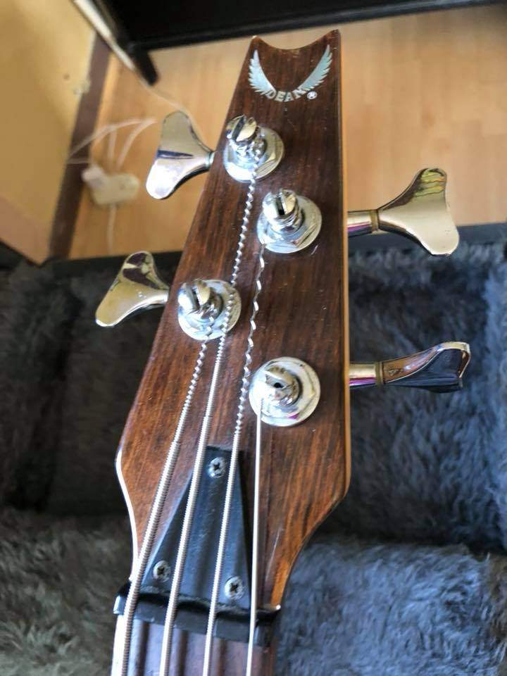 dean head stock.jpg