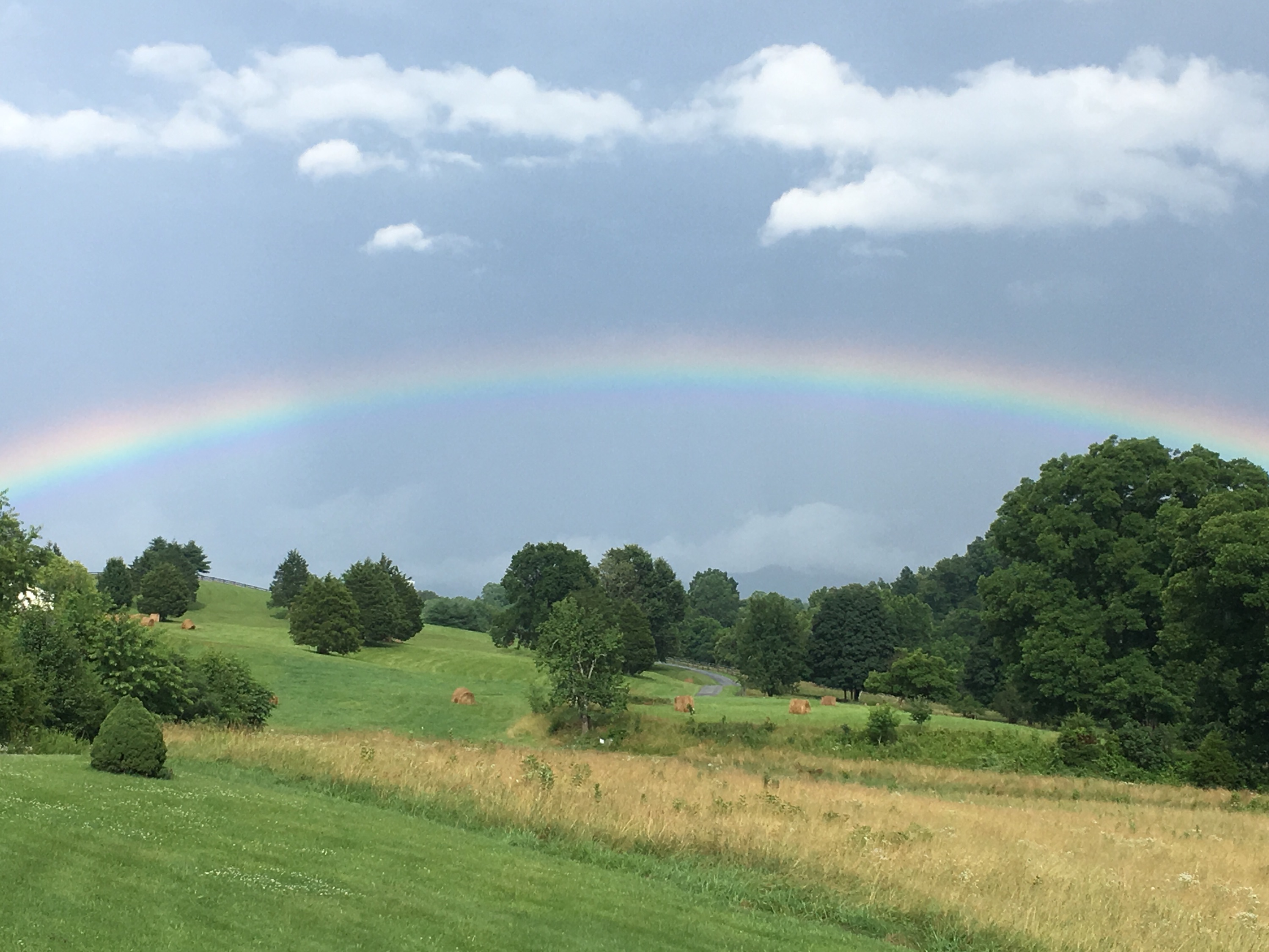 Deb's Rainbow.jpg