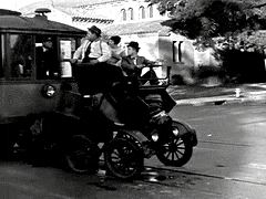 DefiniteRawAmericanbittern-max-1mb.gif