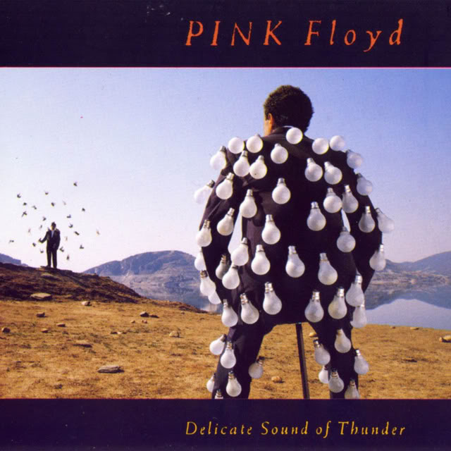 delicate_sound_of_thunder.jpg