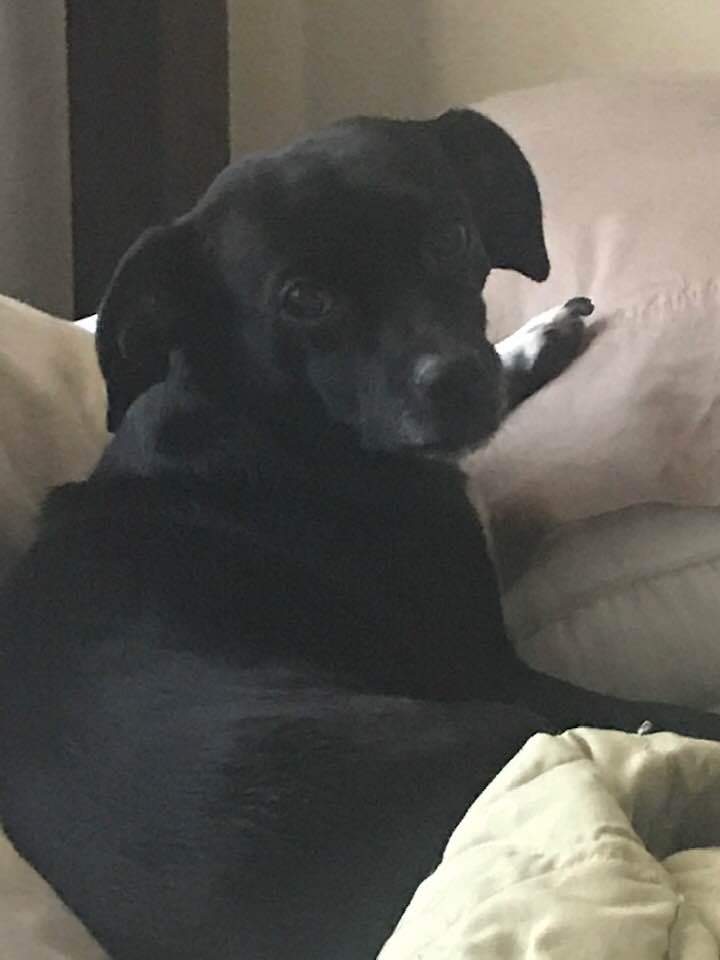 Delilah.jpg