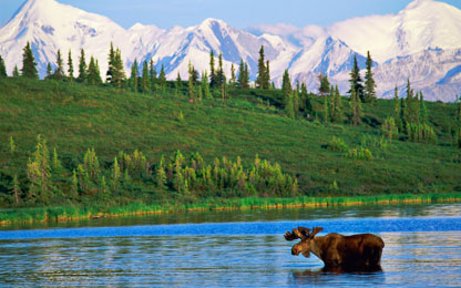 denali_03.jpg