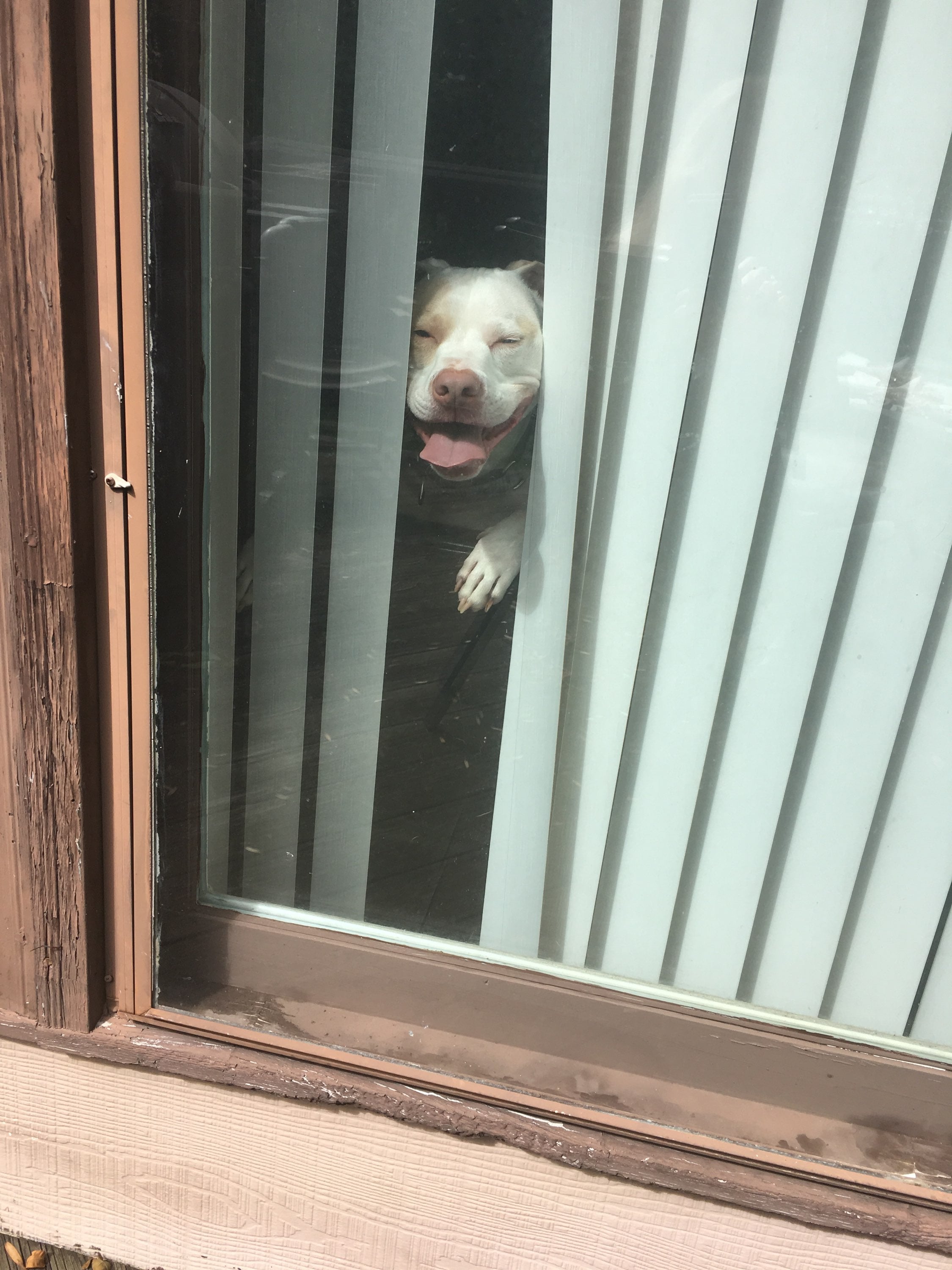 derp.jpg