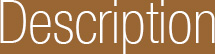 description.jpg