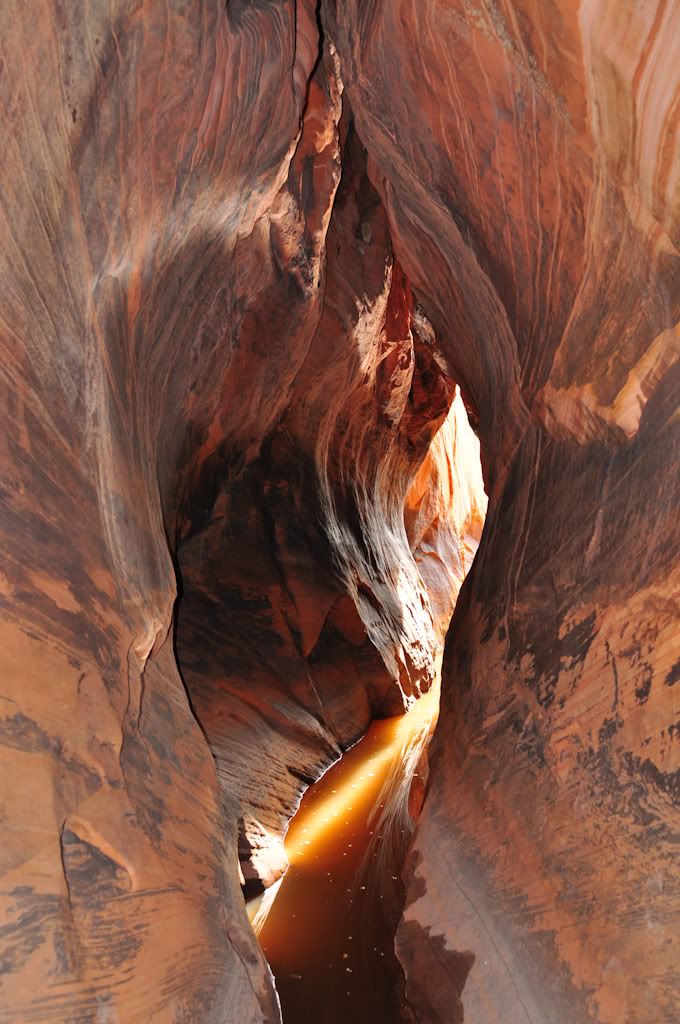desert2010-4.jpg